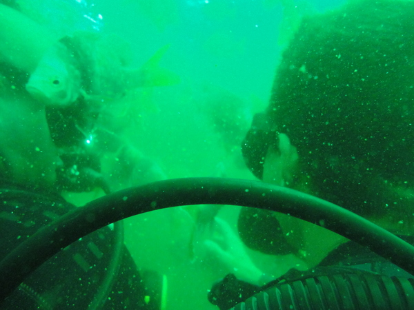 Dayo Scuba Center LLC, Orlando Florida www.dayo.com