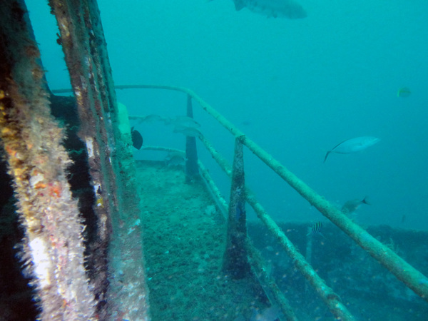 Dayo Scuba Center LLC, Orlando Florida www.dayo.com