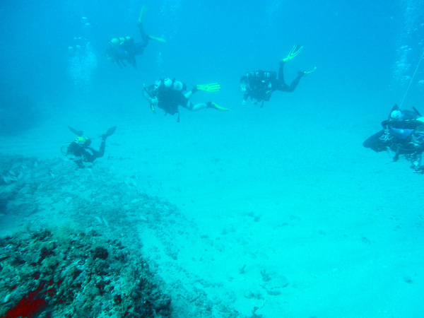 Dayo Scuba Center LLC, Orlando Florida www.dayo.com
