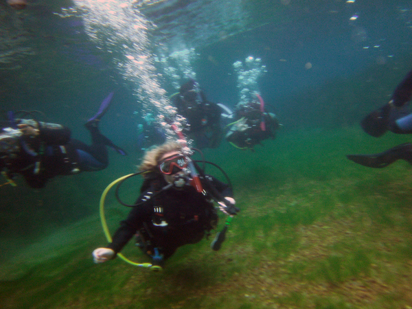 Dayo Scuba Center LLC, Orlando Florida www.dayo.com