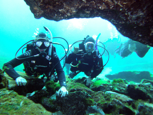 Dayo Scuba Center LLC, Orlando Florida www.dayo.com