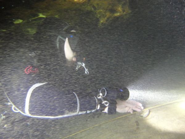 Dayo Scuba Center LLC, Orlando Florida www.dayo.com