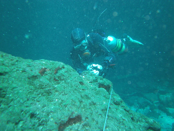 Dayo Scuba Center LLC, Orlando Florida www.dayo.com