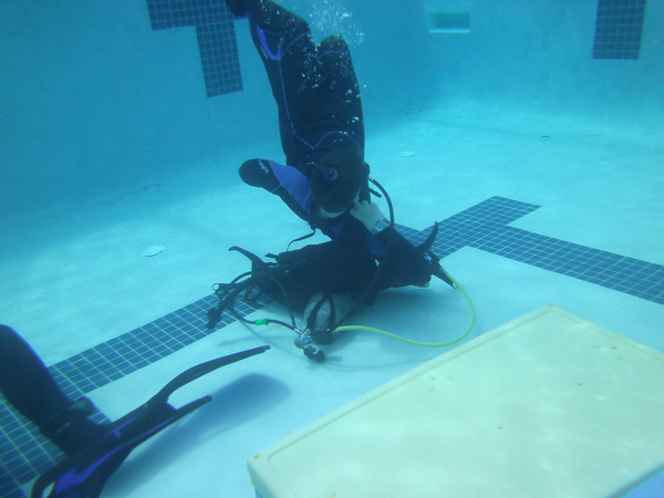 Dayo Scuba Center LLC, Orlando Florida www.dayo.com