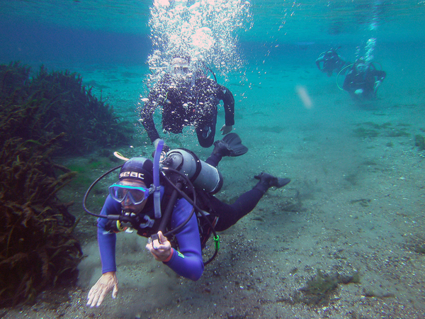 Dayo Scuba Center LLC, Orlando Florida www.dayo.com