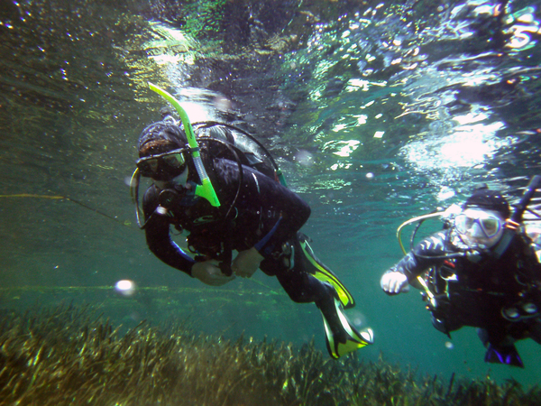 Dayo Scuba Center LLC, Orlando Florida www.dayo.com