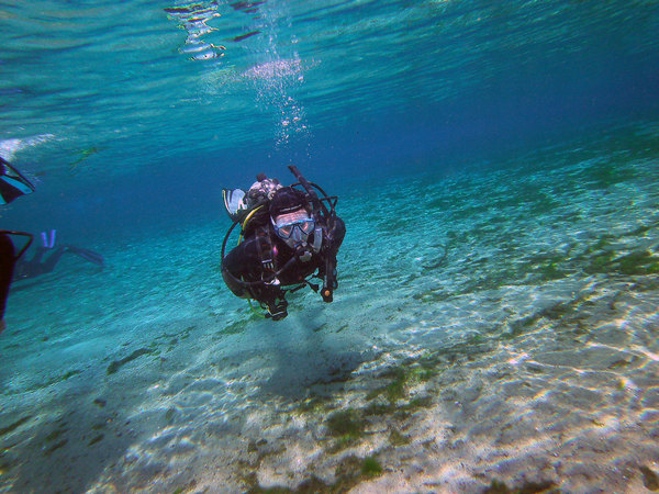 Dayo Scuba Center LLC, Orlando Florida www.dayo.com