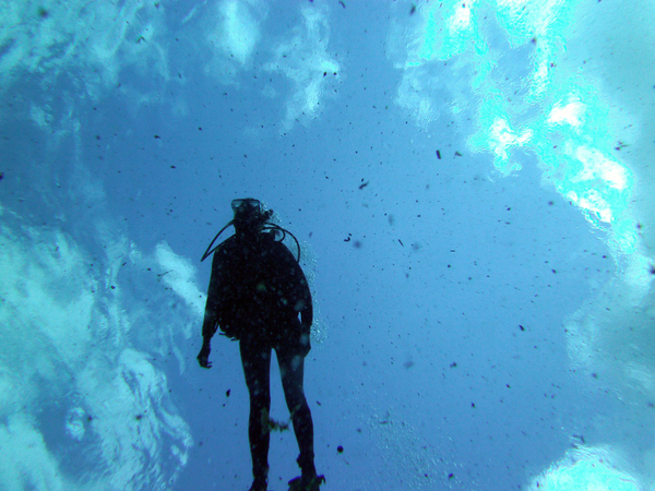 Dayo Scuba Center LLC, Orlando Florida www.dayo.com