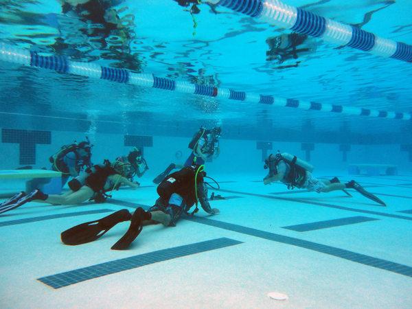 Dayo Scuba Center LLC, Orlando Florida www.dayo.com