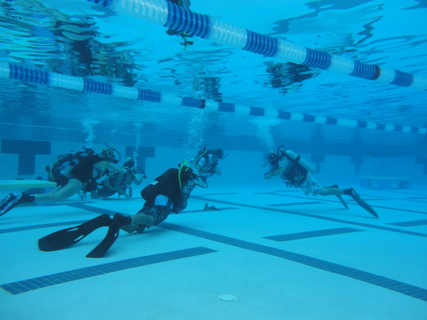 Dayo Scuba Center LLC, Orlando Florida www.dayo.com