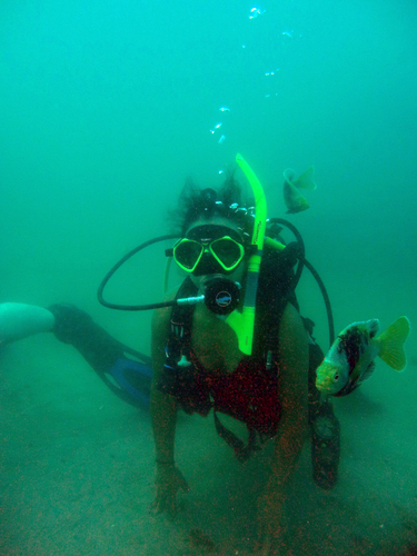 Dayo Scuba Center LLC, Orlando Florida www.dayo.com