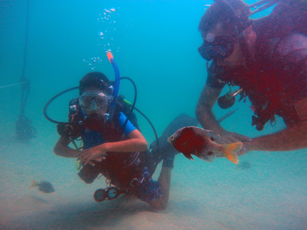 Dayo Scuba Center LLC, Orlando Florida www.dayo.com