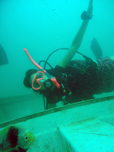 Dayo Scuba Center LLC, Orlando Florida www.dayo.com