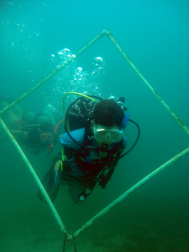 Dayo Scuba Center LLC, Orlando Florida www.dayo.com