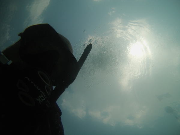 Dayo Scuba Center LLC, Orlando Florida www.dayo.com