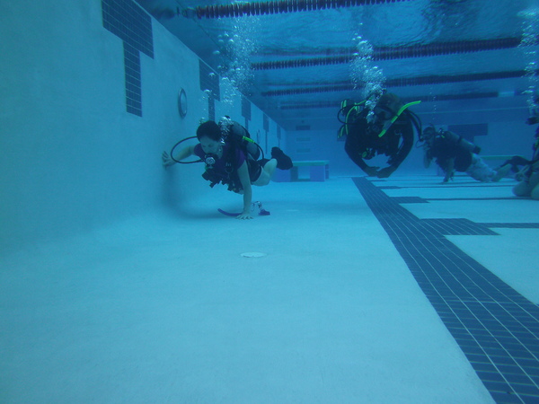 Dayo Scuba Center LLC, Orlando Florida www.dayo.com