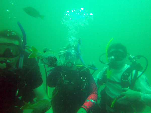 Dayo Scuba Center LLC, Orlando Florida www.dayo.com