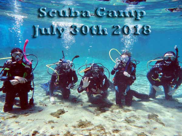 Dayo Scuba Center LLC, Orlando Florida www.dayo.com