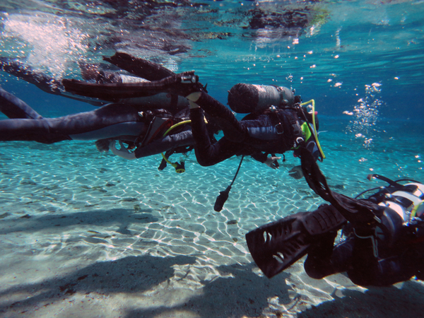 Dayo Scuba Center LLC, Orlando Florida www.dayo.com