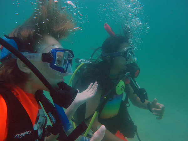 Dayo Scuba Center LLC, Orlando Florida www.dayo.com