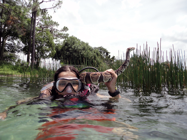 Dayo Scuba Center LLC, Orlando Florida www.dayo.com