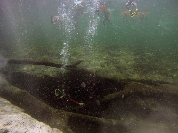 Dayo Scuba Center LLC, Orlando Florida www.dayo.com