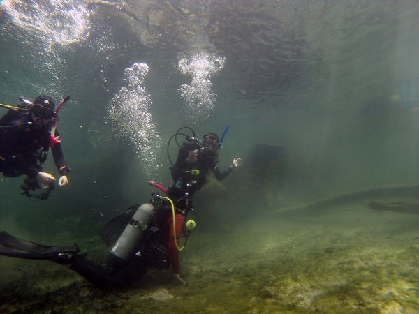Dayo Scuba Center LLC, Orlando Florida www.dayo.com