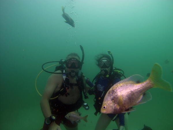 Dayo Scuba Center LLC, Orlando Florida www.dayo.com