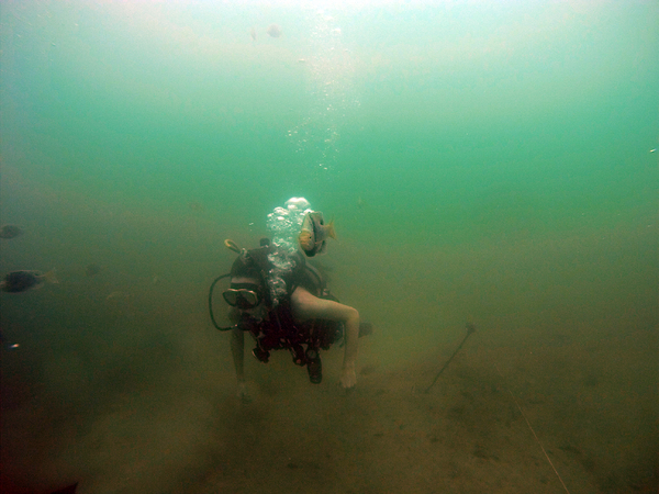 Dayo Scuba Center LLC, Orlando Florida www.dayo.com
