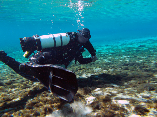 Dayo Scuba Center LLC, Orlando Florida www.dayo.com