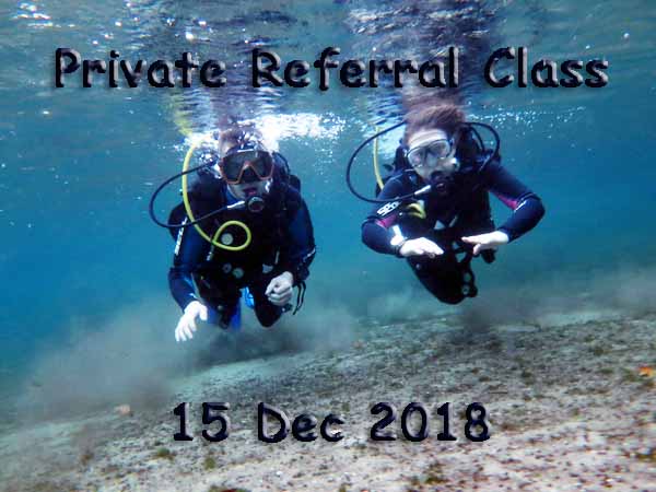 Dayo Scuba Center LLC, Orlando Florida www.dayo.com