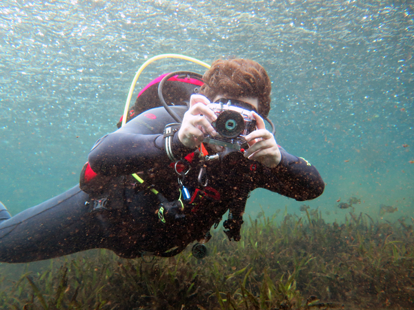 Dayo Scuba Center LLC, Orlando Florida www.dayo.com