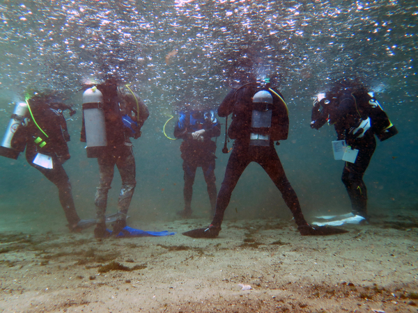 Dayo Scuba Center LLC, Orlando Florida www.dayo.com