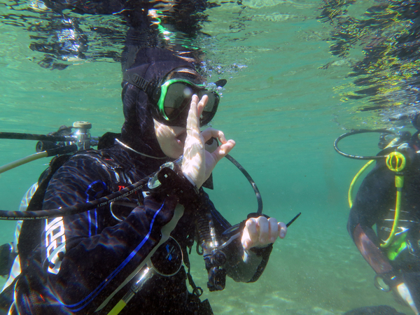 Dayo Scuba Center LLC, Orlando Florida www.dayo.com