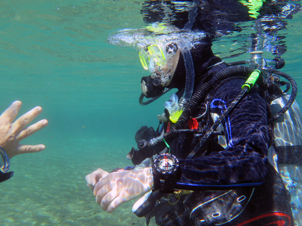 Dayo Scuba Center LLC, Orlando Florida www.dayo.com