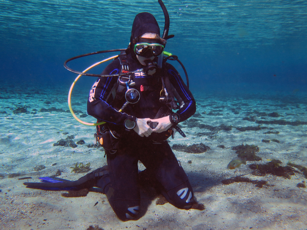 Dayo Scuba Center LLC, Orlando Florida www.dayo.com