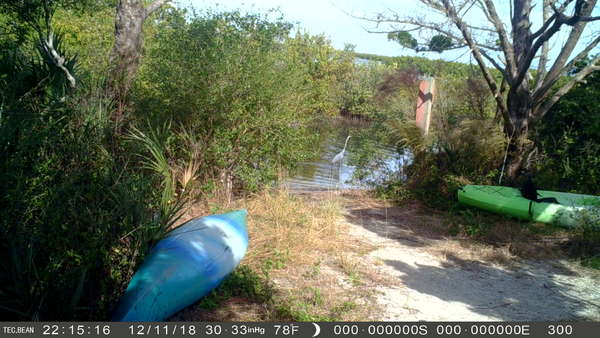 Dayo Scuba Center LLC, Orlando Florida www.dayo.com