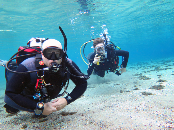 Dayo Scuba Center LLC, Orlando Florida www.dayo.com