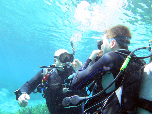 Dayo Scuba Center LLC, Orlando Florida www.dayo.com