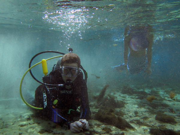 Dayo Scuba Center LLC, Orlando Florida www.dayo.com