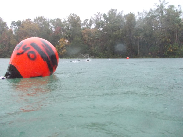 Dayo Scuba Center LLC, Orlando Florida www.dayo.com