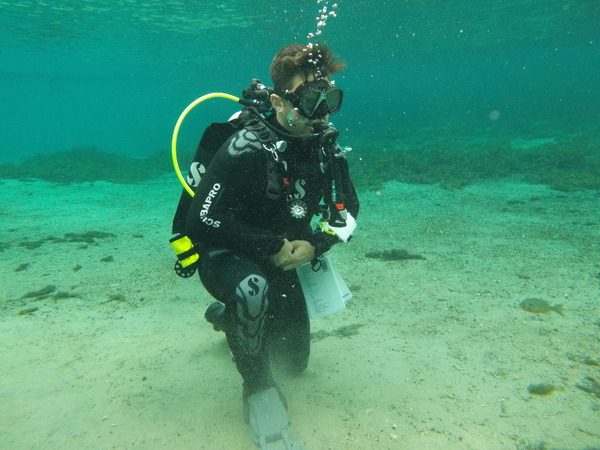 Dayo Scuba Center LLC, Orlando Florida www.dayo.com