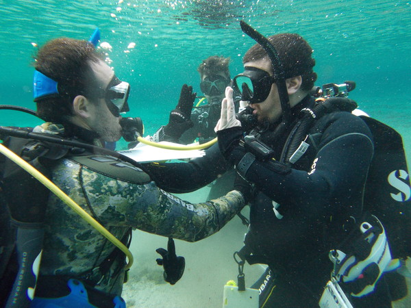 Dayo Scuba Center LLC, Orlando Florida www.dayo.com