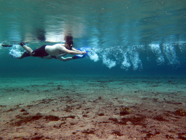 Dayo Scuba Center LLC, Orlando Florida www.dayo.com