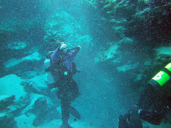 Dayo Scuba Center LLC, Orlando Florida www.dayo.com