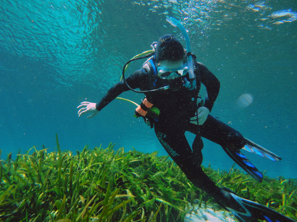 Dayo Scuba Center LLC, Orlando Florida www.dayo.com