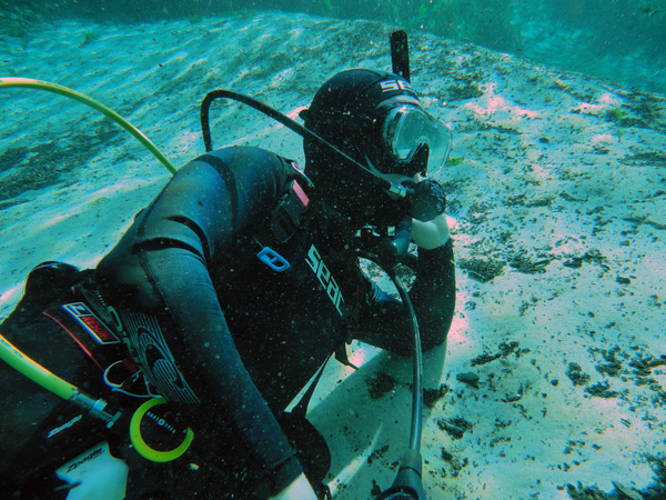 Dayo Scuba Center LLC, Orlando Florida www.dayo.com