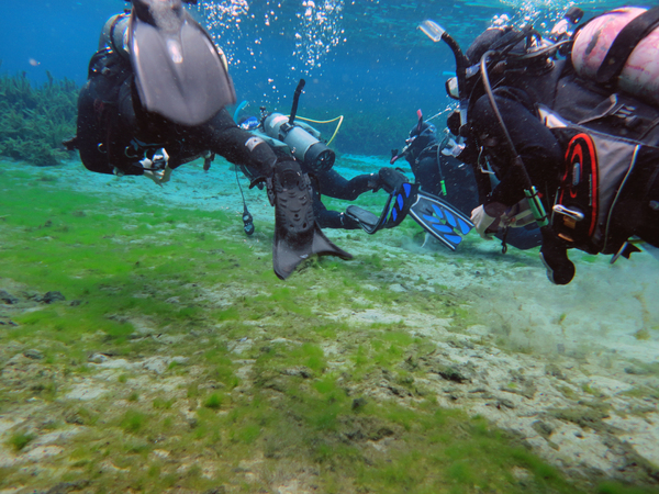 Dayo Scuba Center LLC, Orlando Florida www.dayo.com