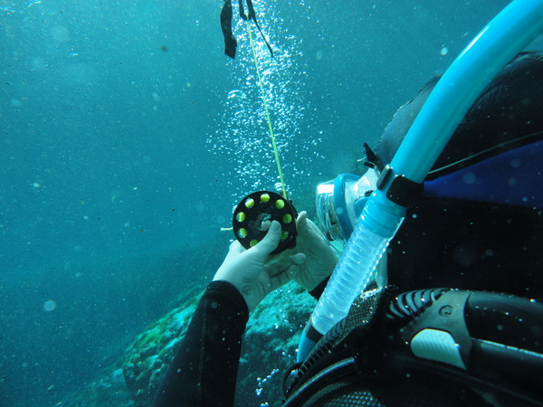 Dayo Scuba Center LLC, Orlando Florida www.dayo.com