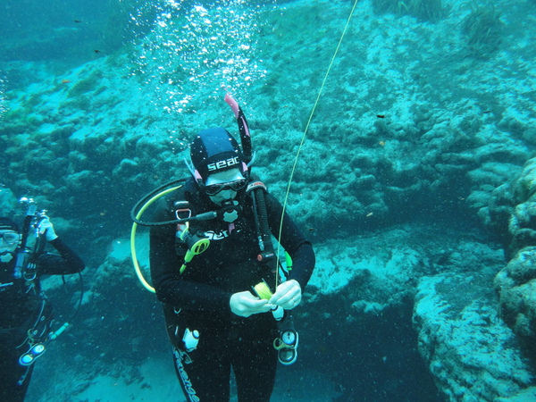 Dayo Scuba Center LLC, Orlando Florida www.dayo.com
